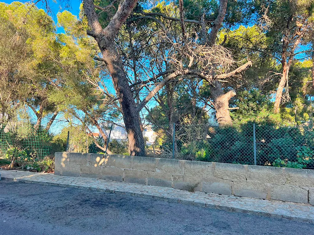 Terreno in zona ricercata-3