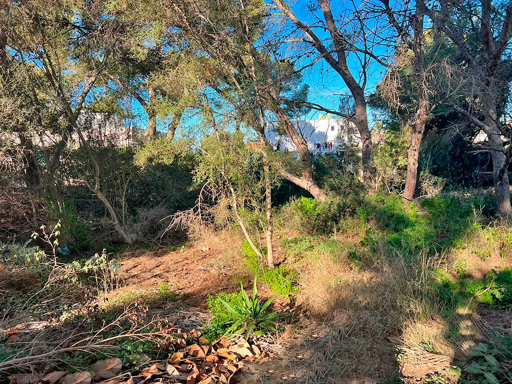 Terreno in zona ricercata-1