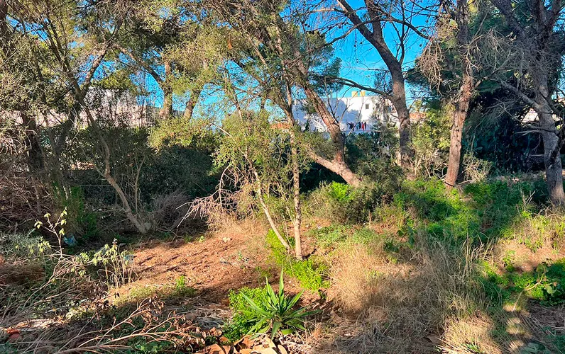 Terreno in zona ricercata