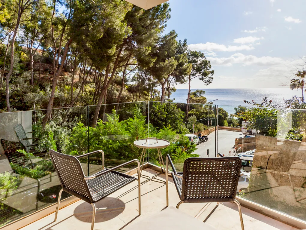 Skønheden ved Playa Portals-2