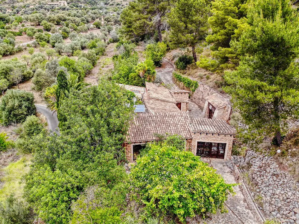 Finca para reformar en zona tranquila con mucho terreno-4