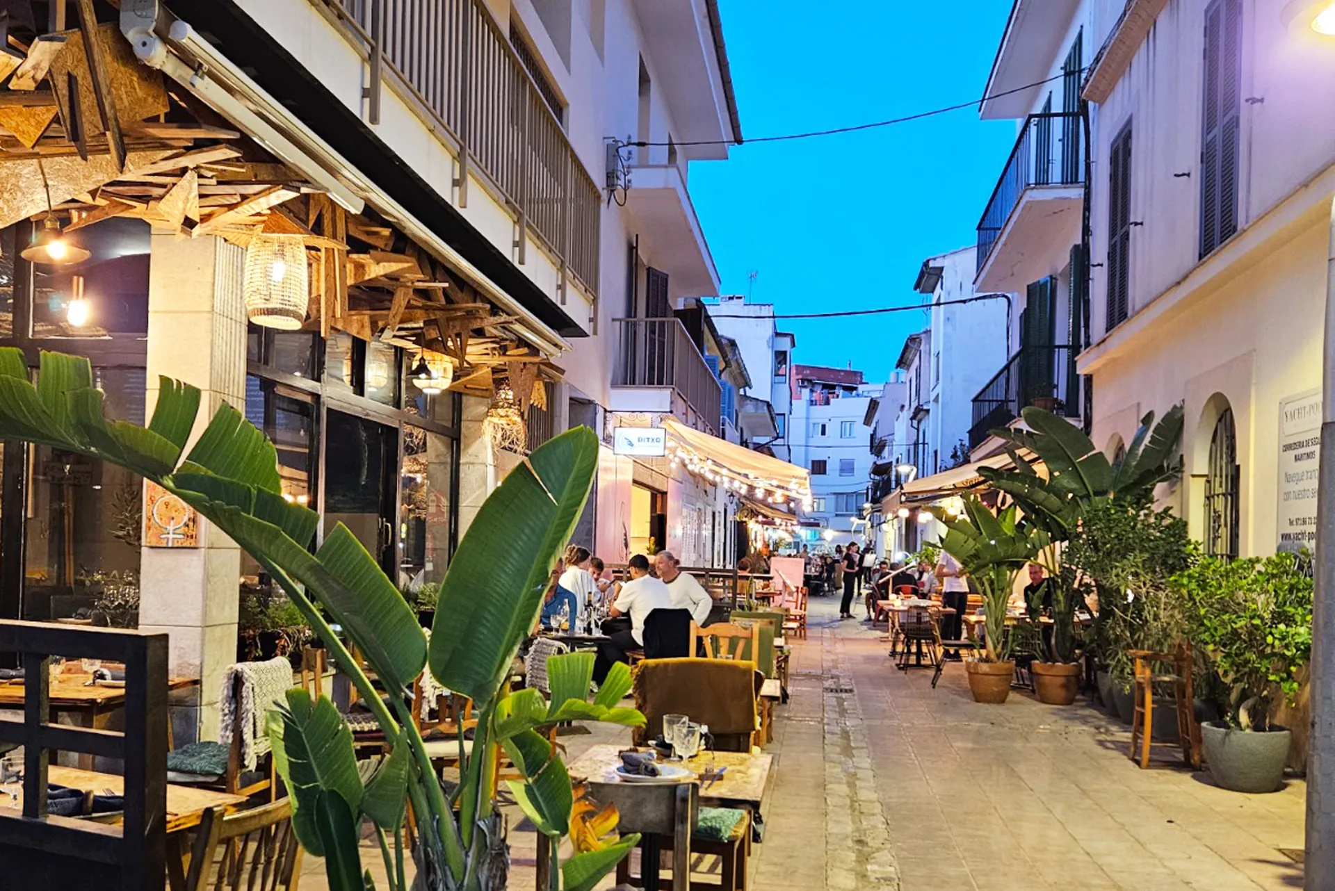 “TH Carmina” Location temporaire à Port de Pollença.-4