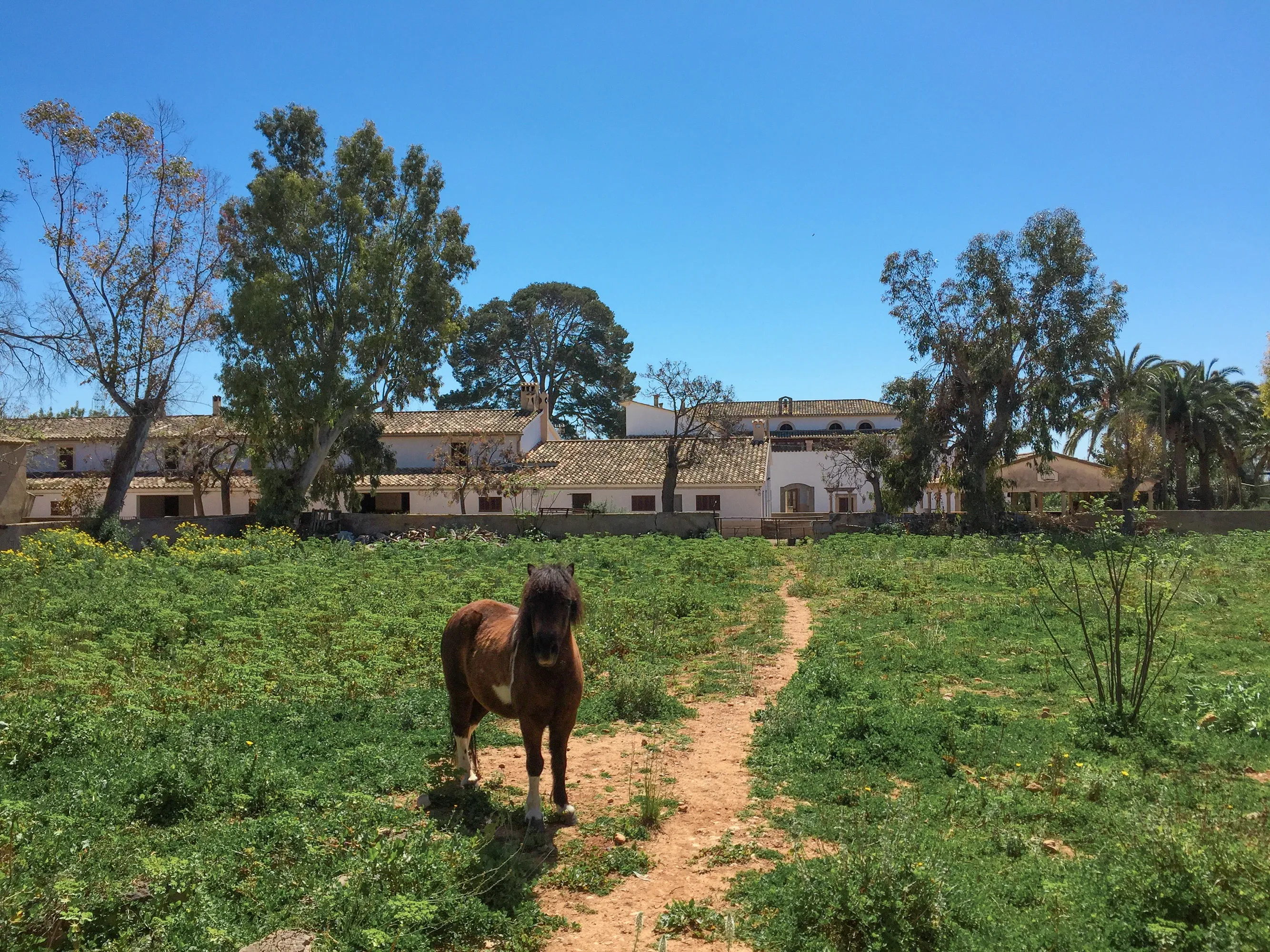 Posiadłość wiejska z XVIII wieku-2
