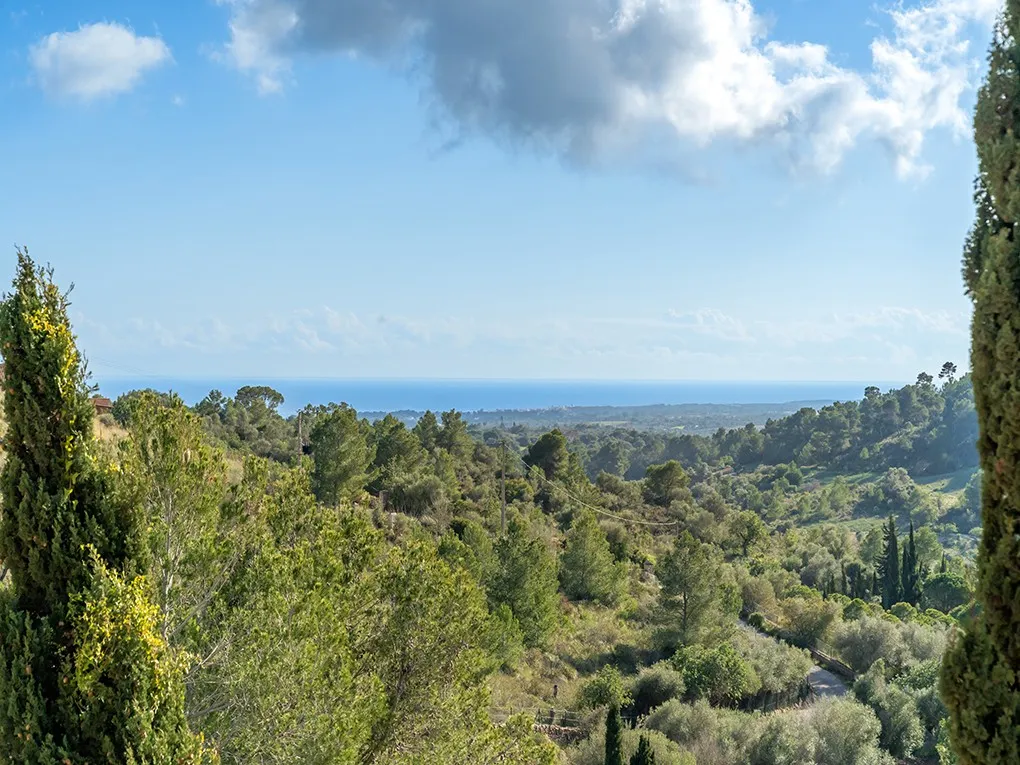 Ruime finca met verreikend uitzicht op zee-17