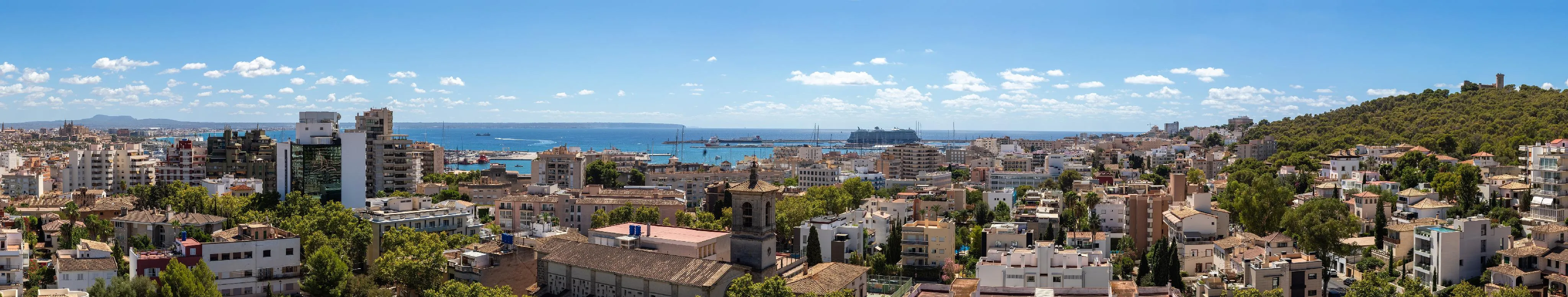 Luxueus, gerenoveerd penthouse in Son Armadams met panoramisch uitzicht-21