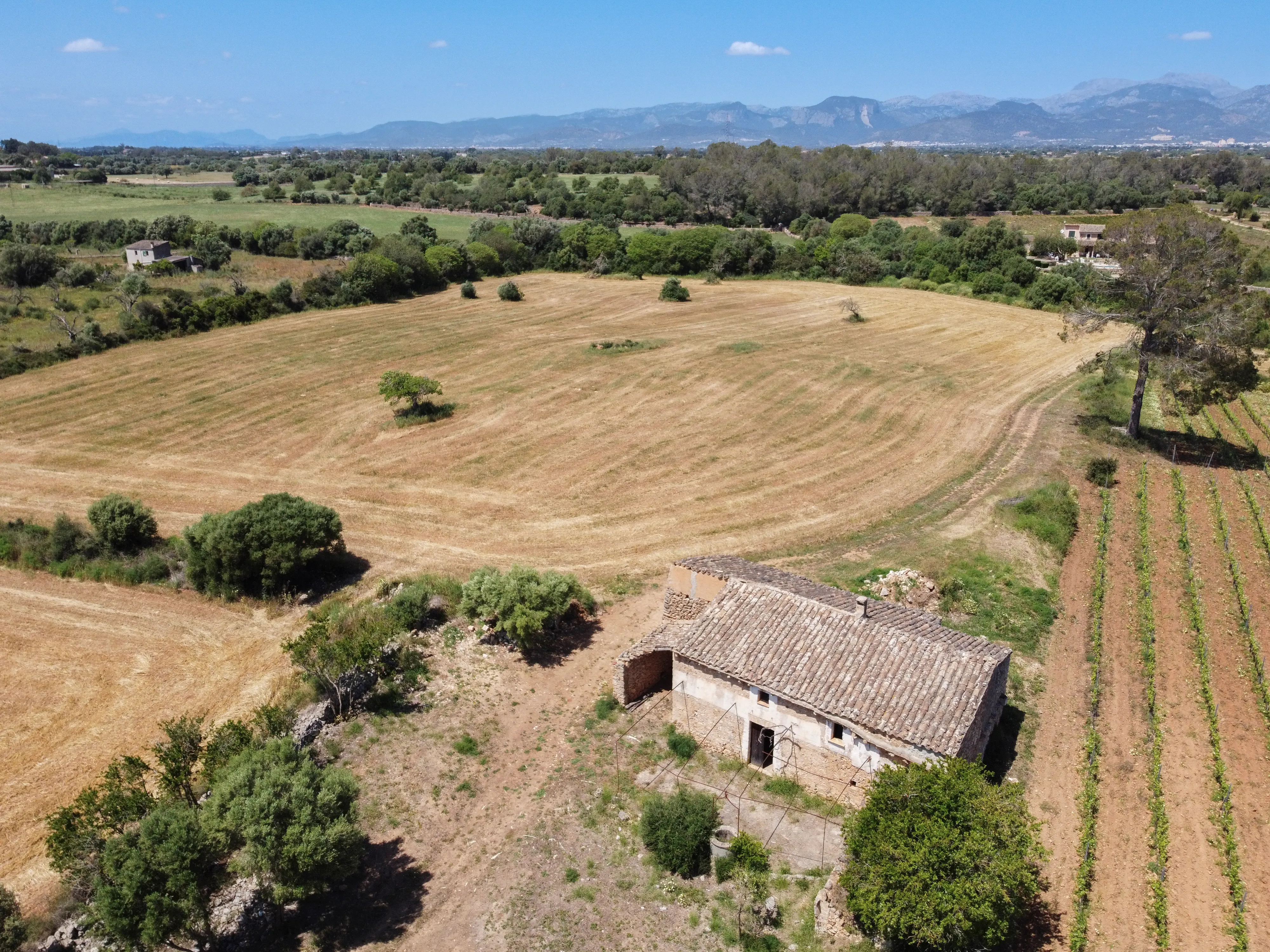 Original finca with renovation project-1