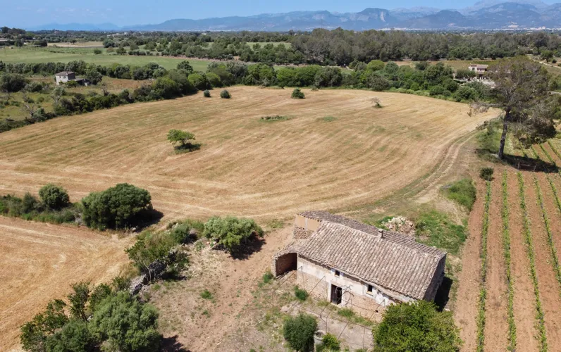 Oryginalna finca z projektem renowacji