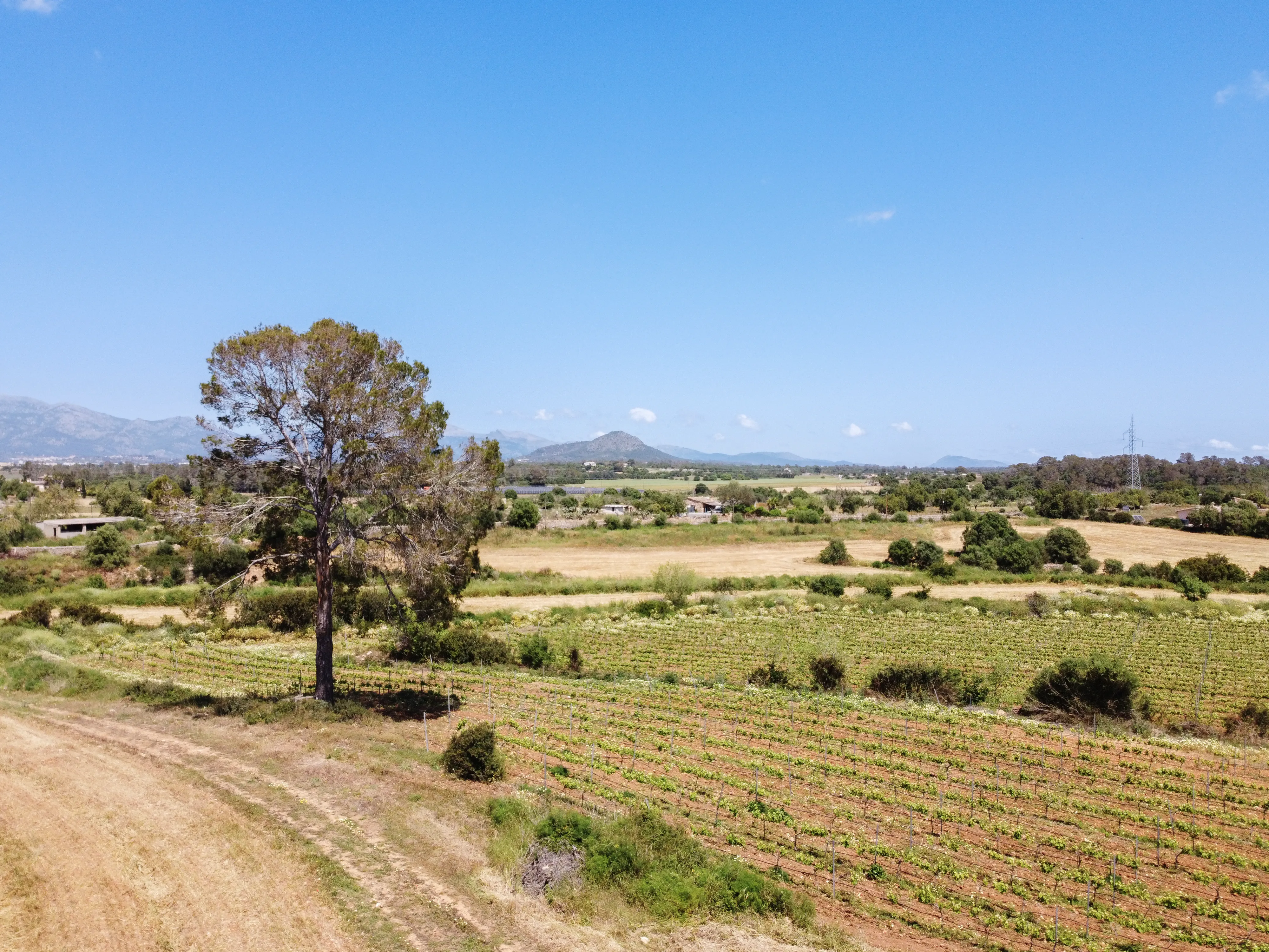 Original finca med renoveringsprojekt-8