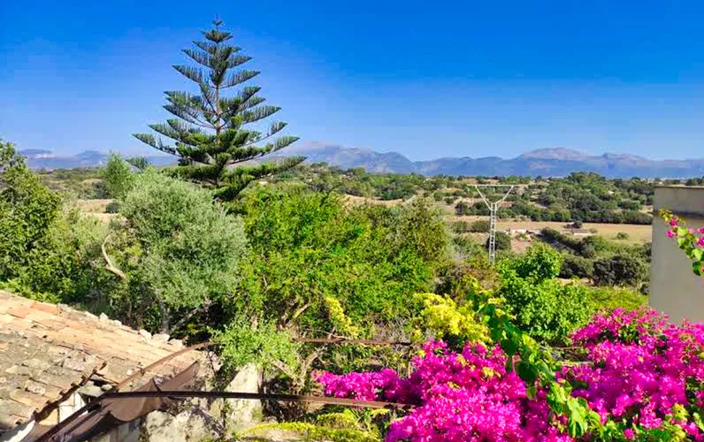Casa de pueblo para reformar en Llubi