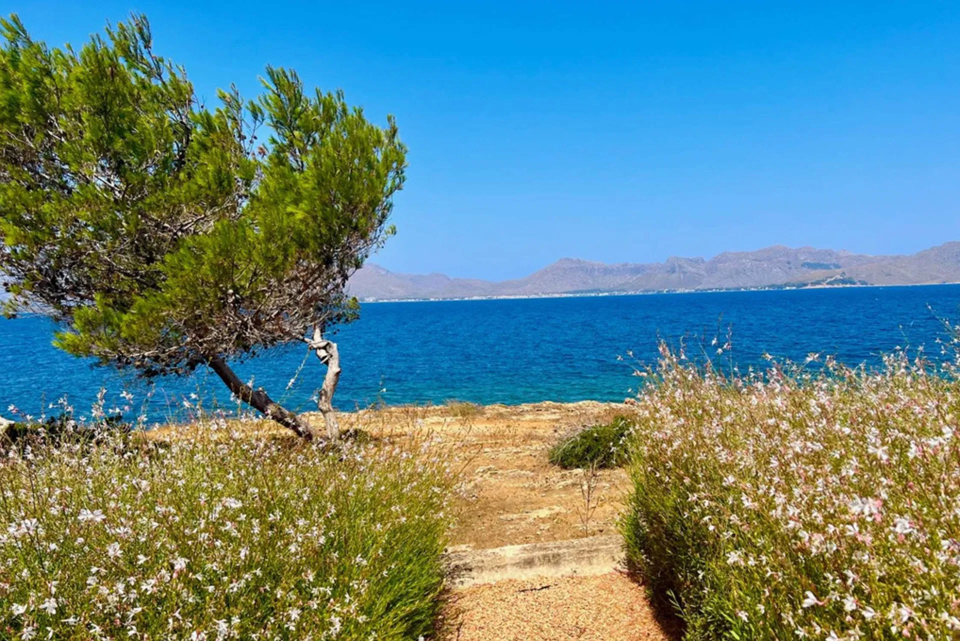 "MIRAMAR" Locations de Vacances à Alcudia-3