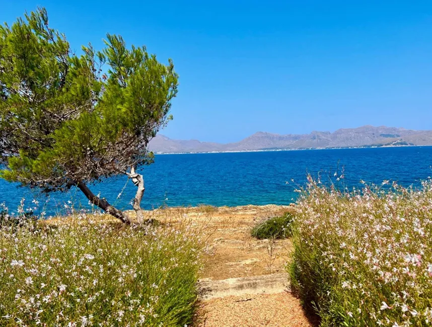 "MIRAMAR" vakantiewoning in Alcudia-3