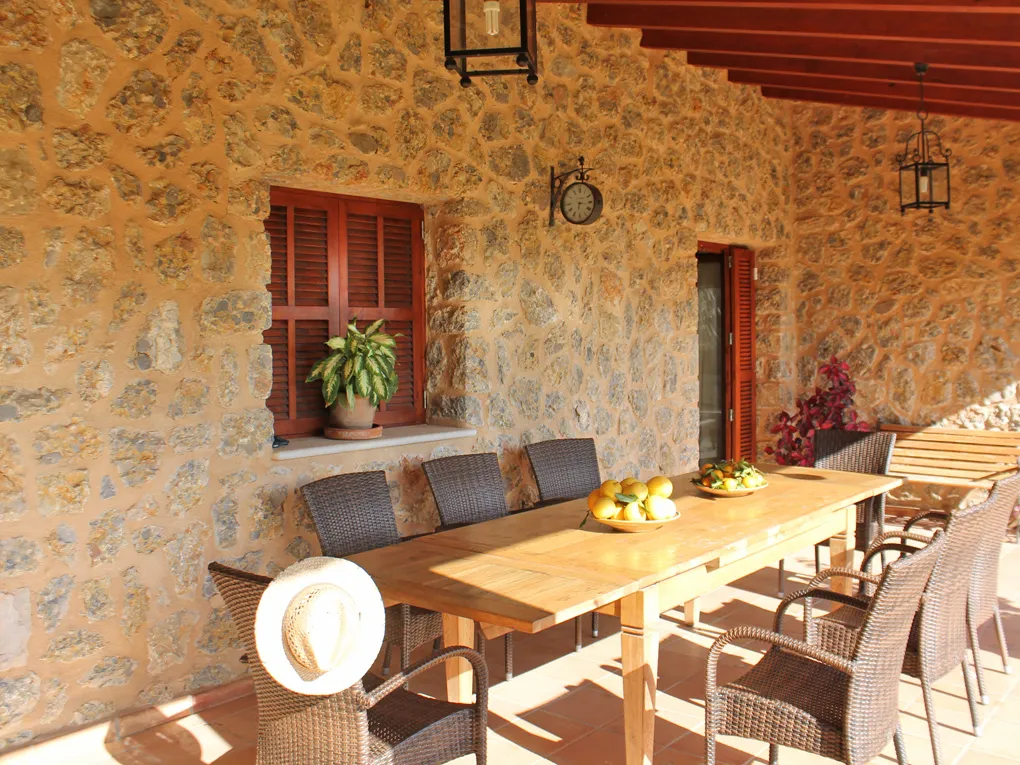 Great finca with lots of fruit trees in Selva-9