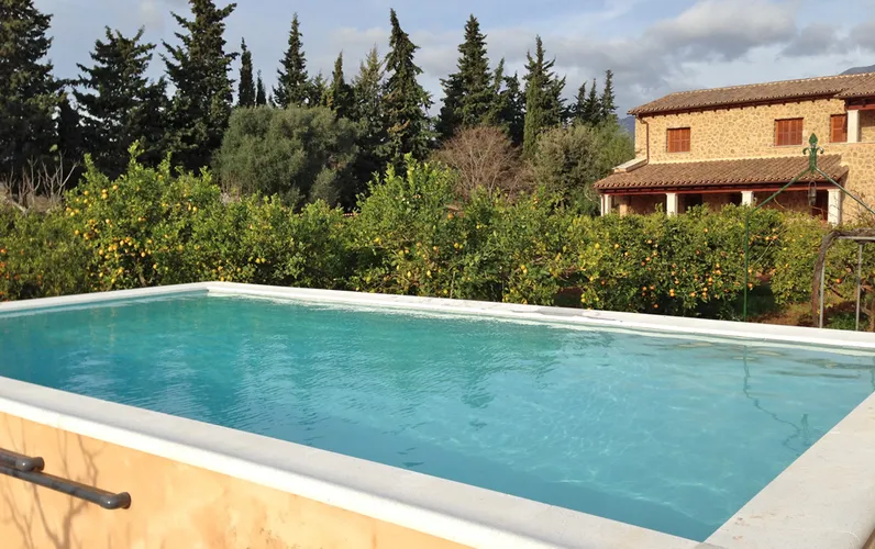 Wspaniała finca z wieloma drzewami owocowymi w Selva