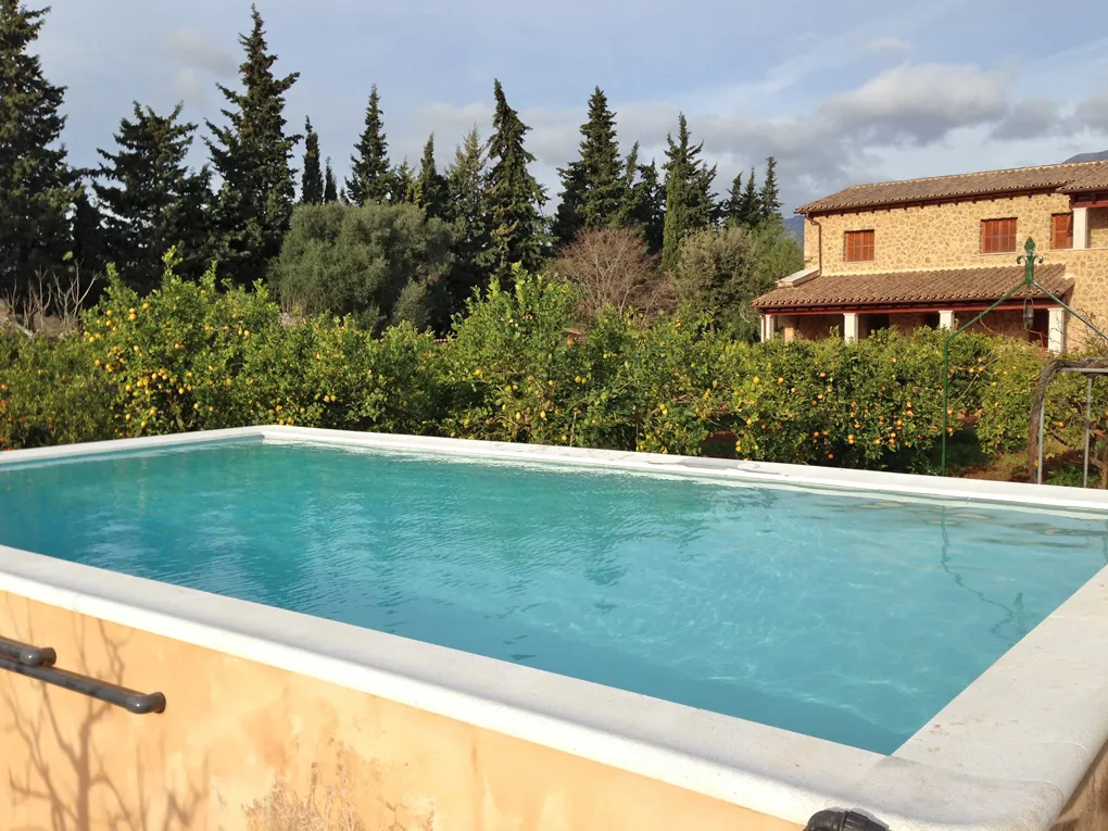 Great finca with lots of fruit trees in Selva-1