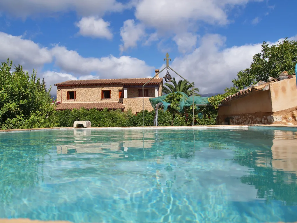 Great finca with lots of fruit trees in Selva-10