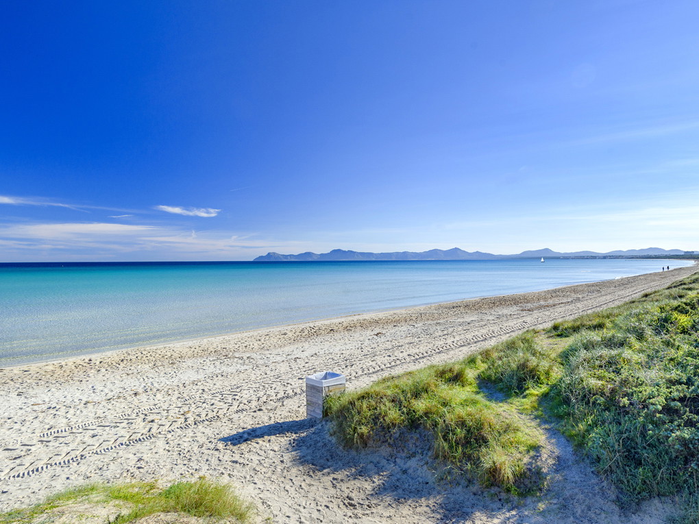 Exclusive rural plot with the potential to create your dream home, just 15 minutes from Playa de Muro-4