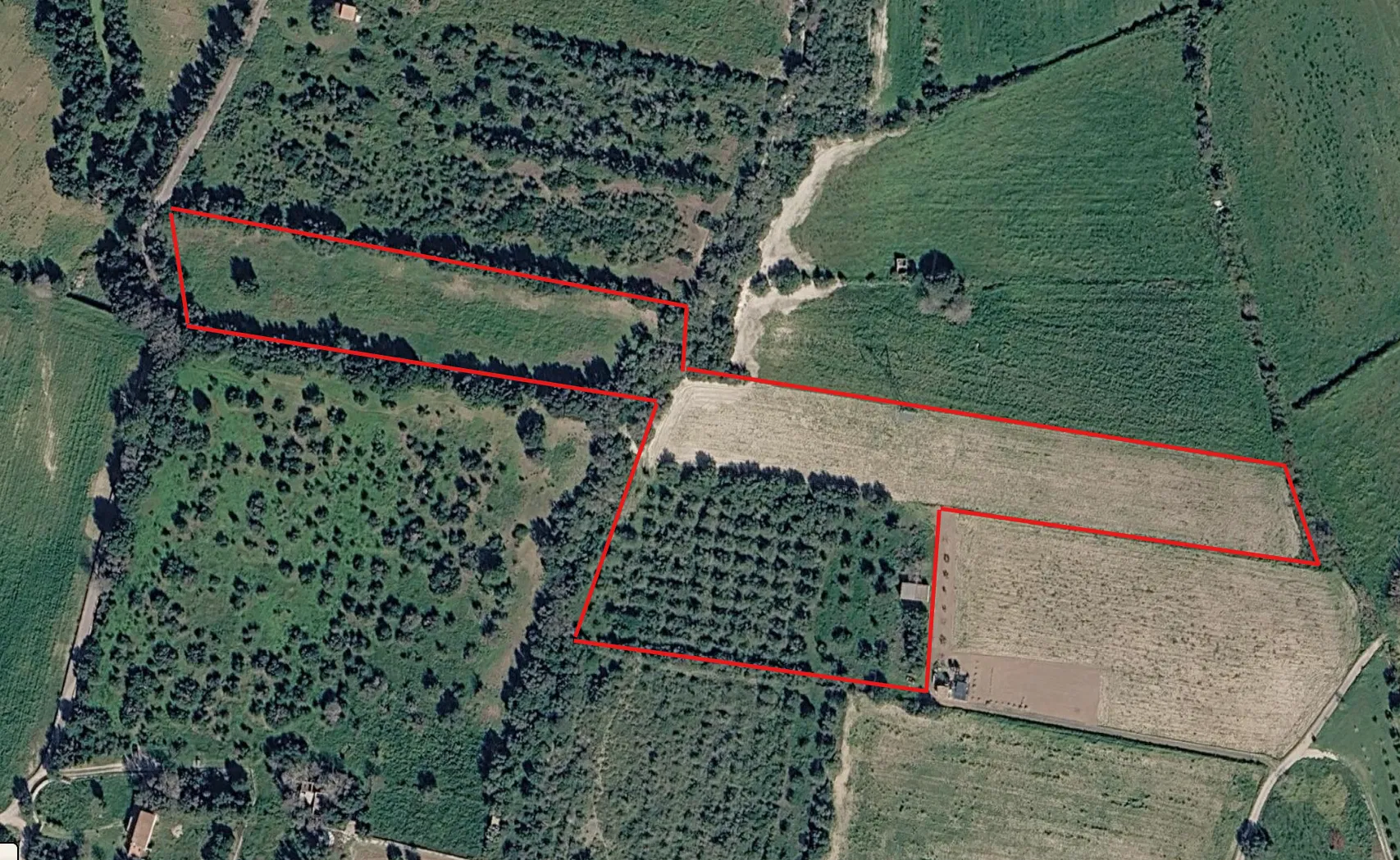 Exclusive rural plot with the potential to create your dream home, just 15 minutes from Playa de Muro-1