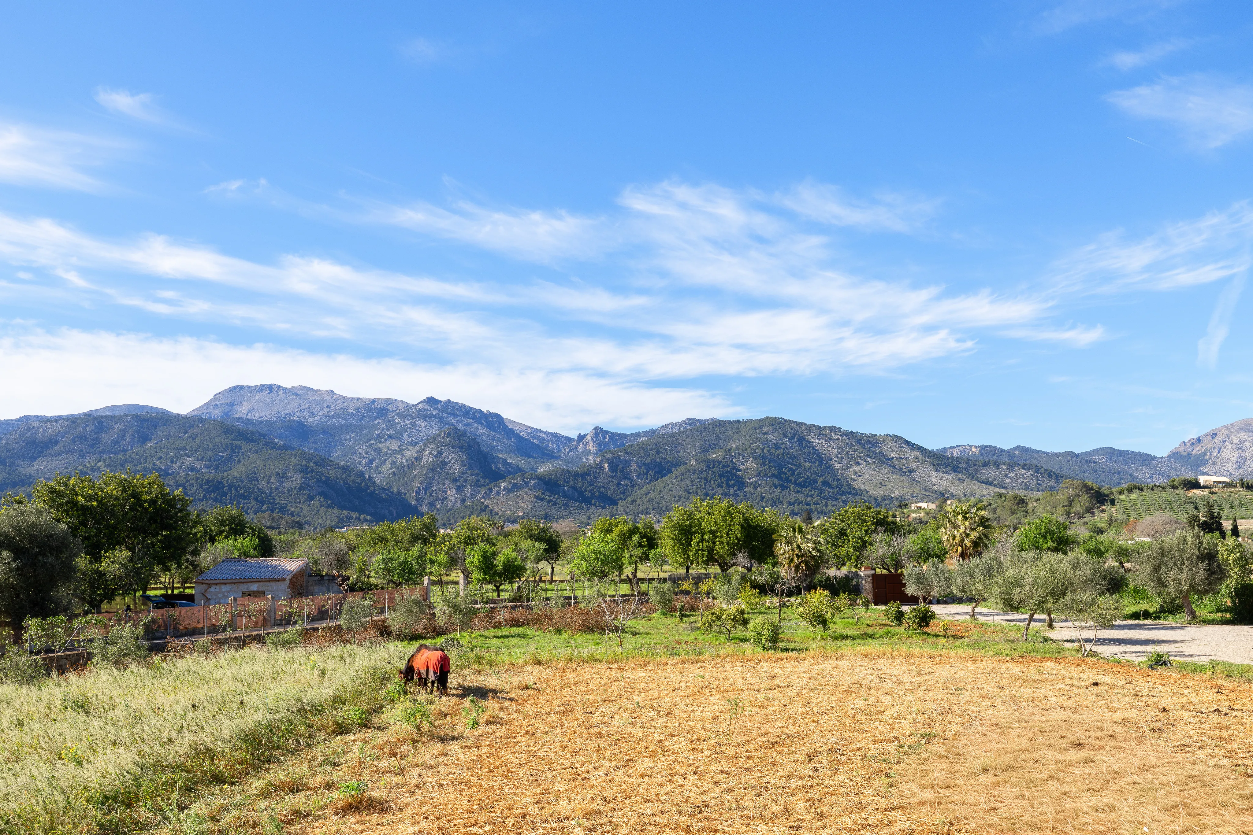 Finca de bien-être avec grande piscine et vue sur la montagne à Selva-16