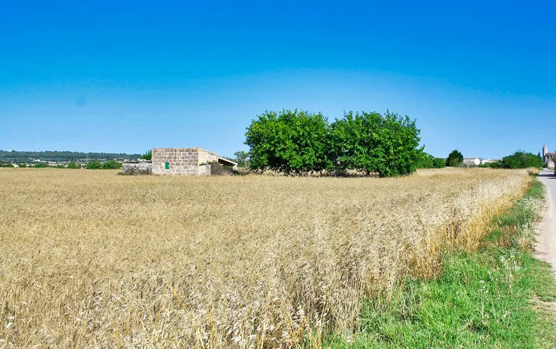 Rustykalna działka z otwartym widokiem w pobliżu Petry