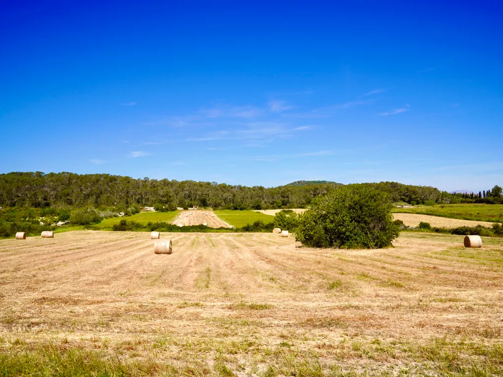 Finca met zwembad en panoramisch uitzicht-14