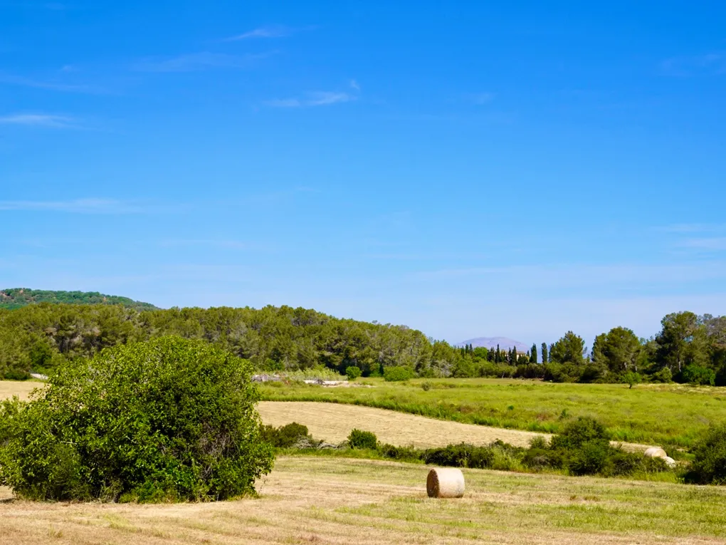 Finca met zwembad en panoramisch uitzicht-13