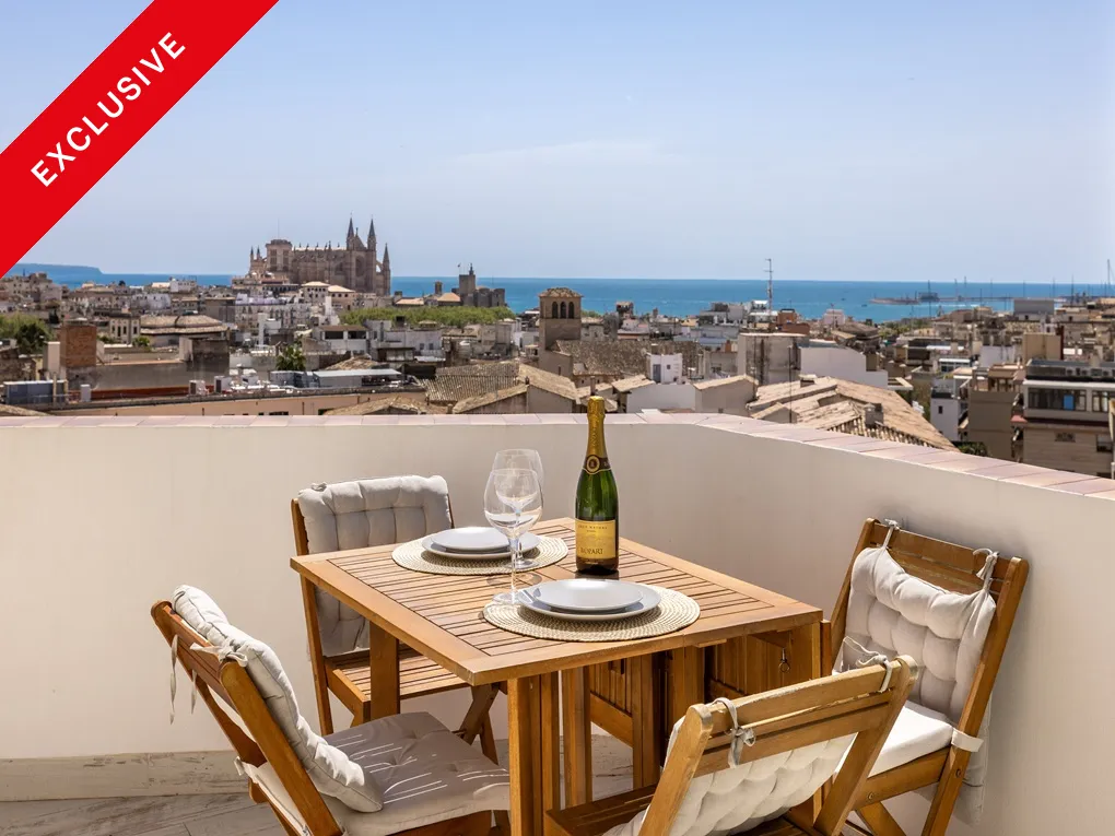 Àtic assolellat amb ascensor, pàrking, terrassa i vistes espectaculars prop de les Rambles-10