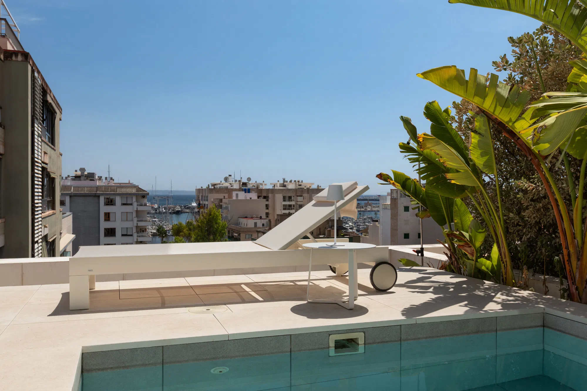 Beautiful Penthouse with Private Pool in Santa Catalina-6