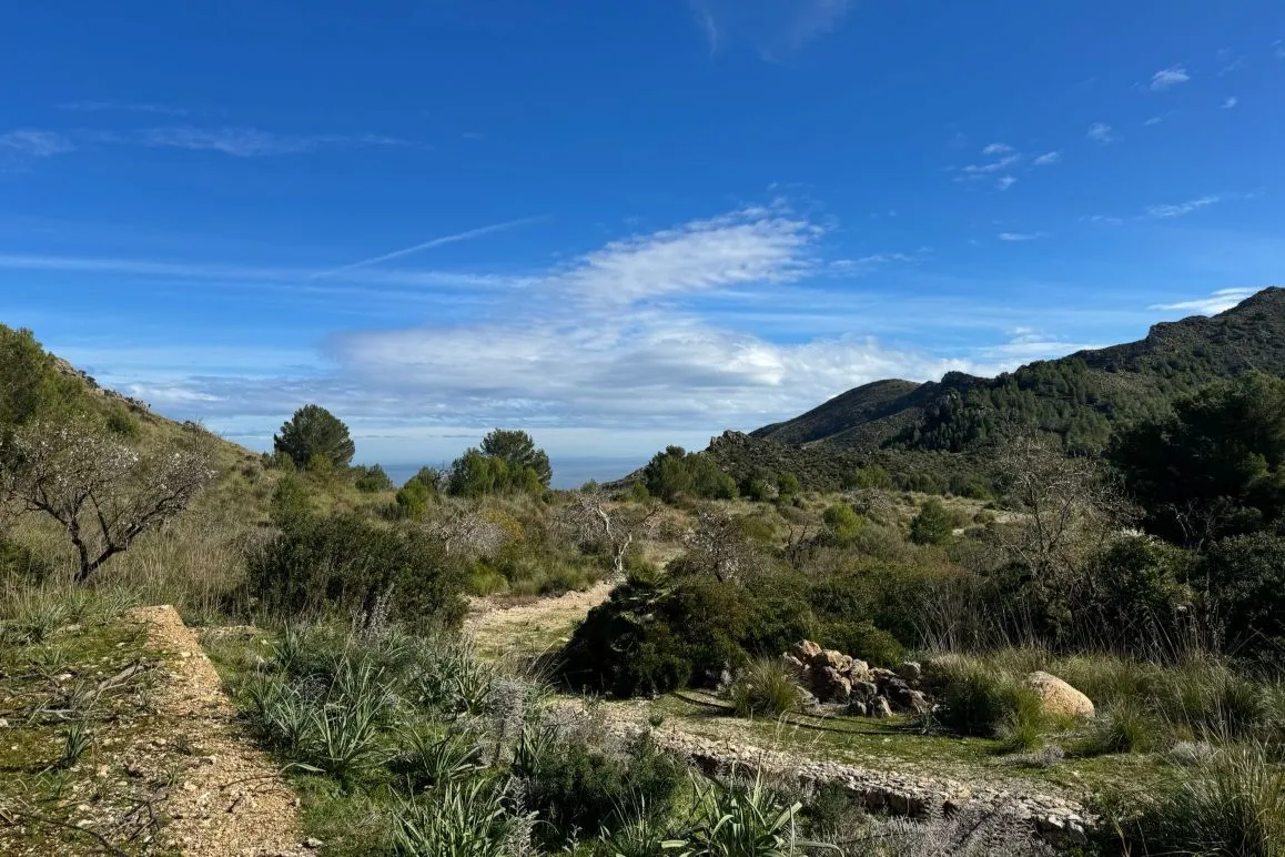 Finca z kamienia naturalnego z potencjałem renowacyjnym i dalekimi widokami na morze aż do Minorki w pobliżu Artà-3