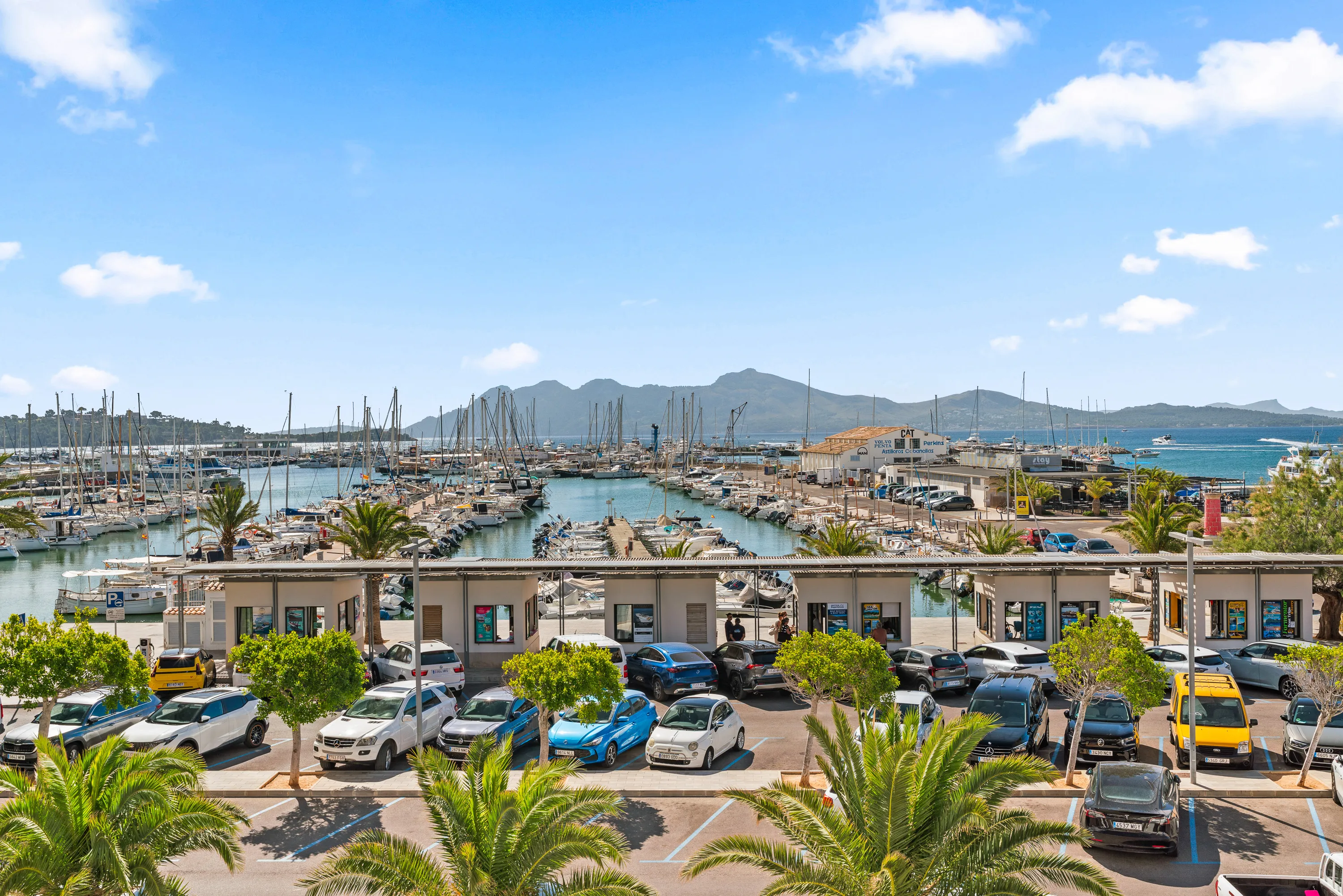 Helles Apartment direkt am Meer in Puerto Pollensa-1
