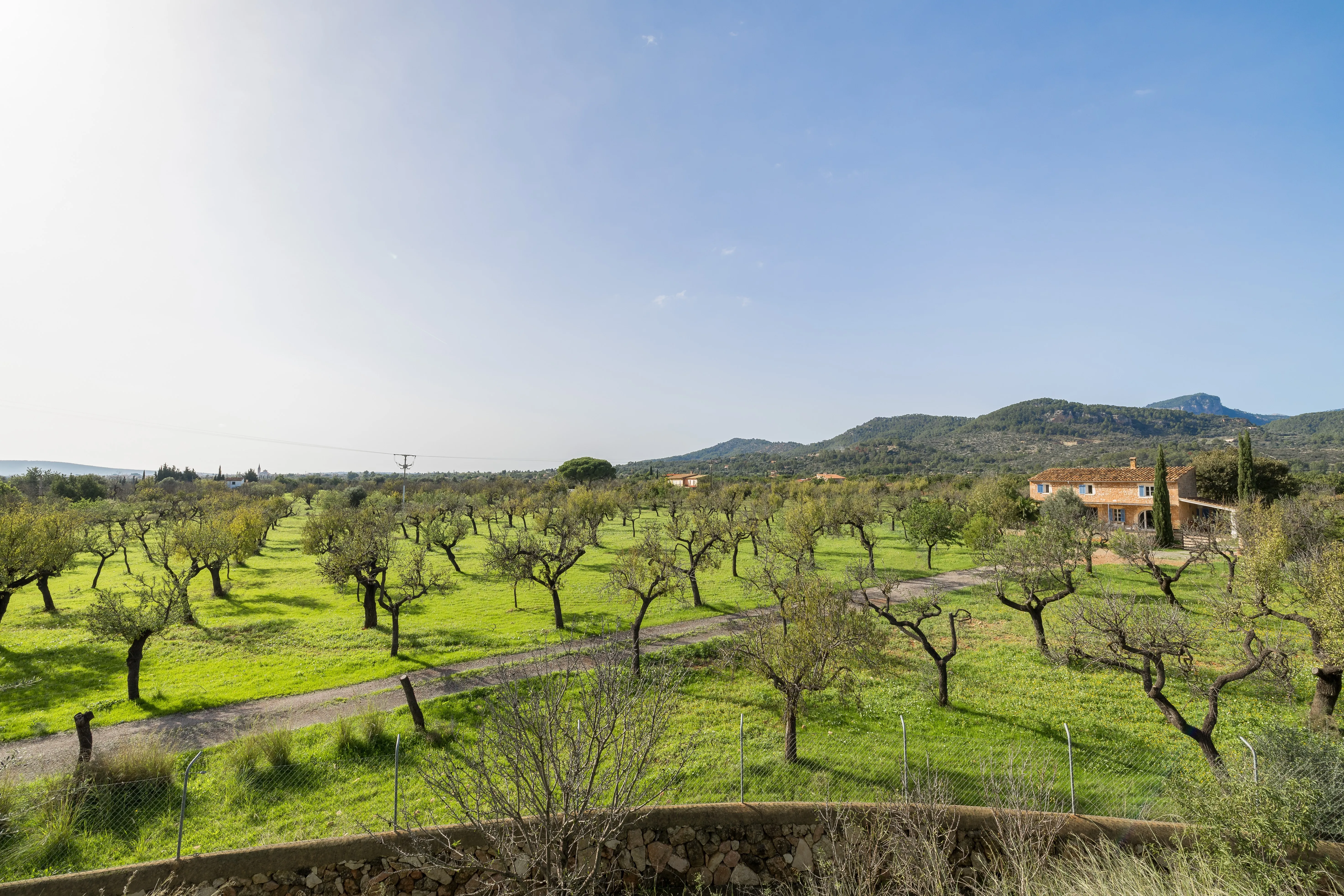 Lovely mallorquin house with pool and ETV-16