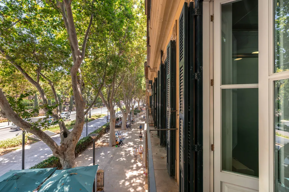 Charming Office Space in the Heart of Palma – Near Paseo del Borne-2