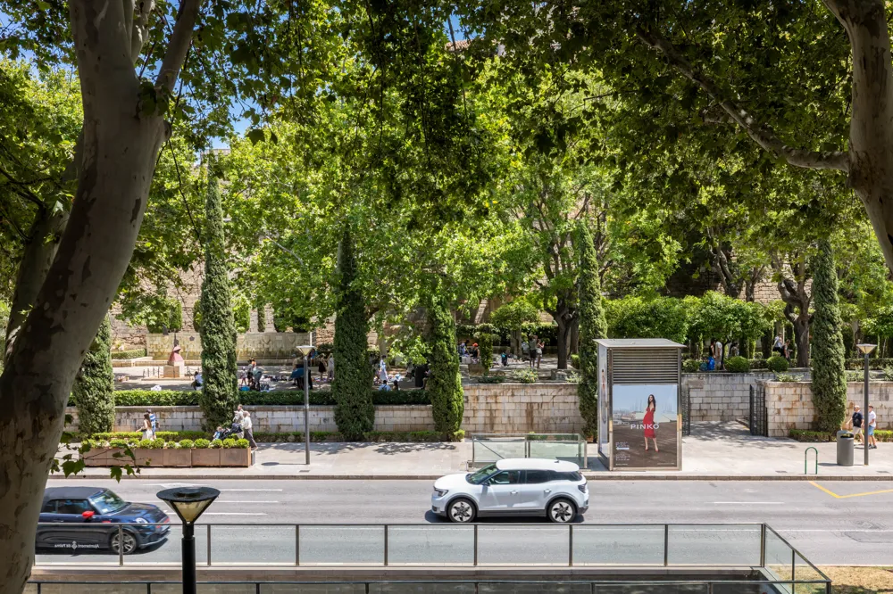 Charming Office Space in the Heart of Palma – Near Paseo del Borne-14