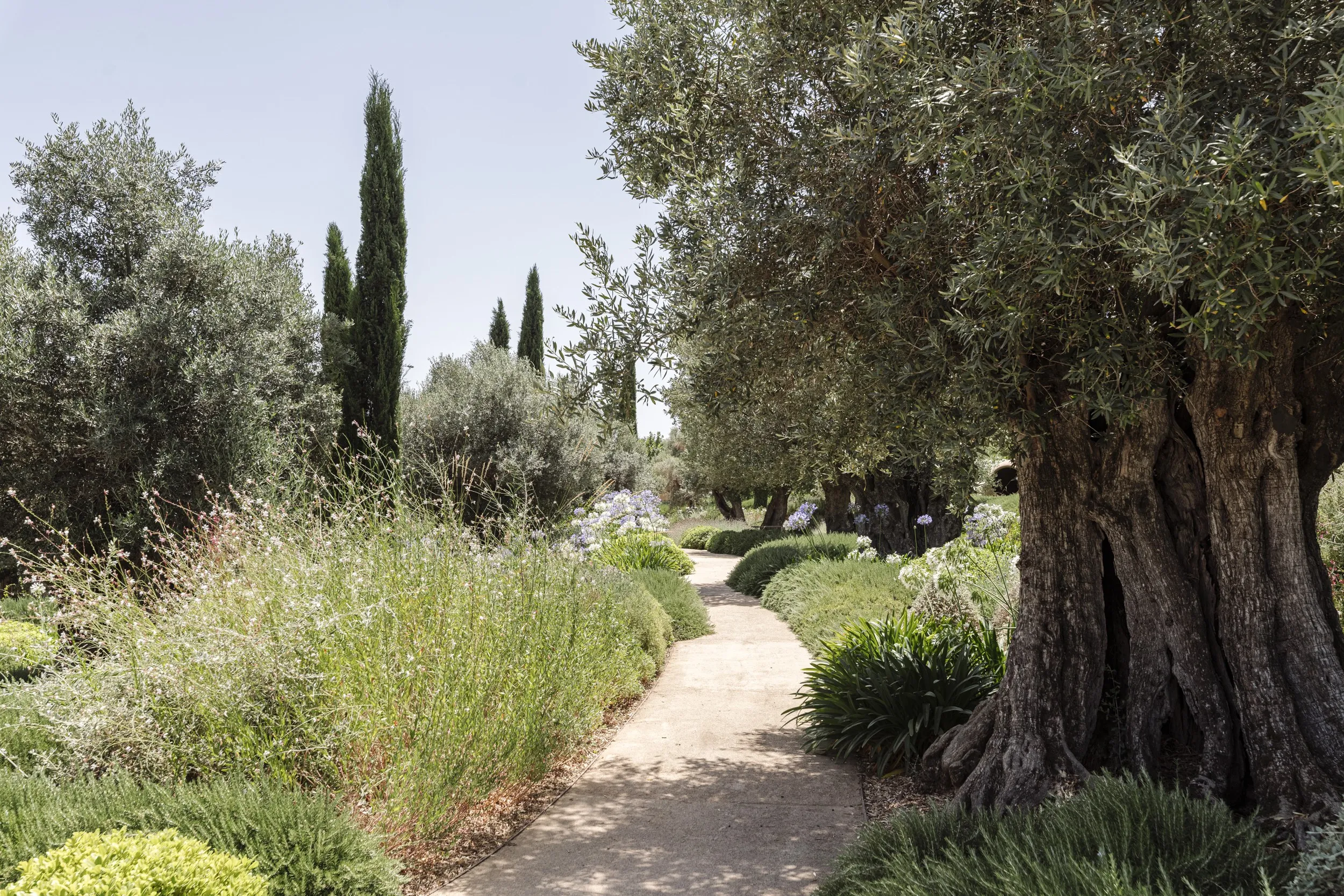 Elegant toevluchtsoord op het platteland met luxe inrichting-7