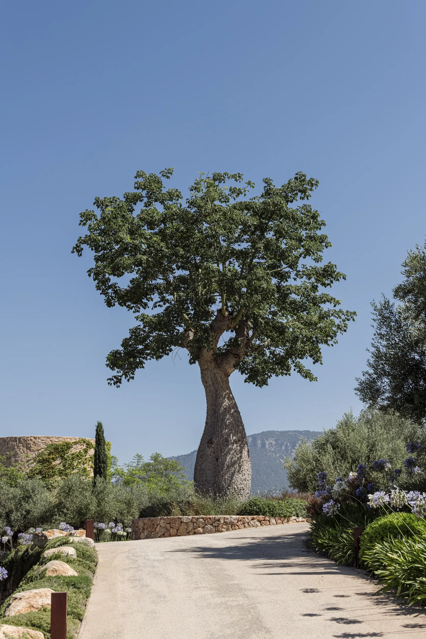 Elegant country retreat with luxury finishes-8