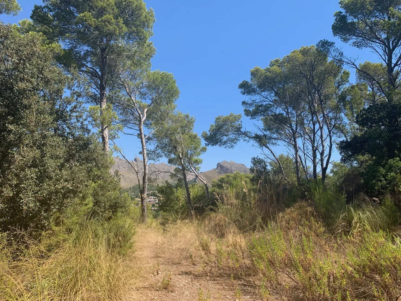 Fantastisch perceel met bouwvergunning in Puerto Pollensa-5