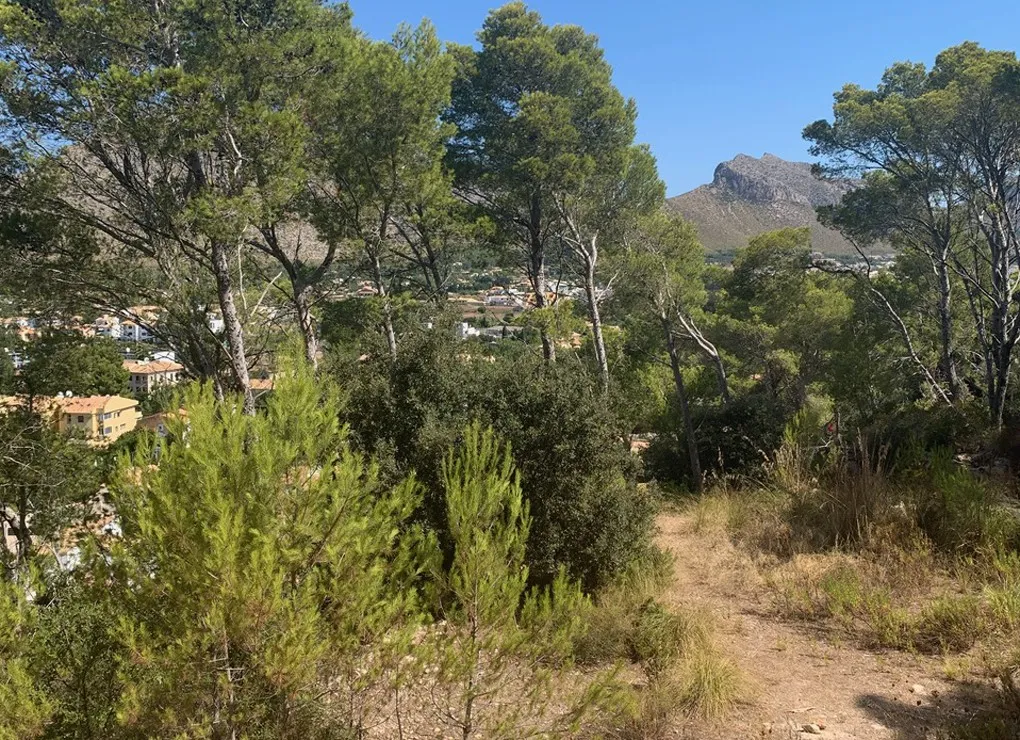 Fantastisch perceel met bouwvergunning in Puerto Pollensa-4