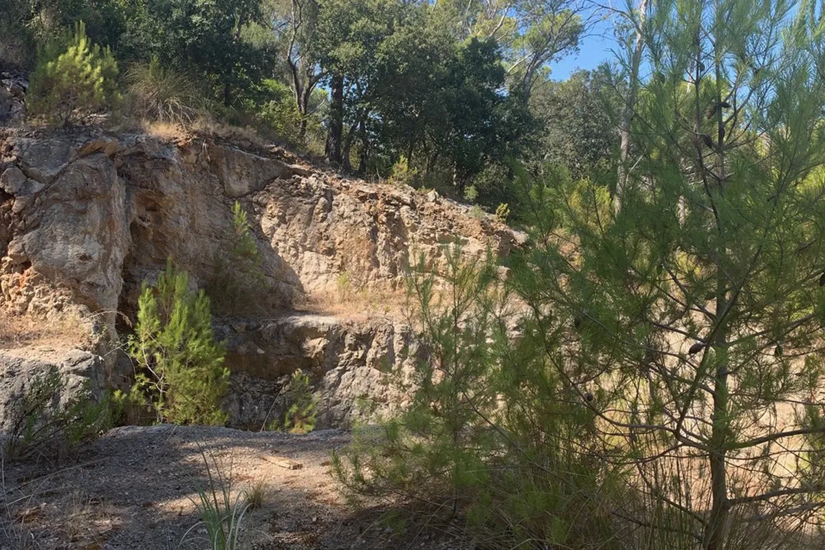 Fantastisch perceel met bouwvergunning in Puerto Pollensa-6