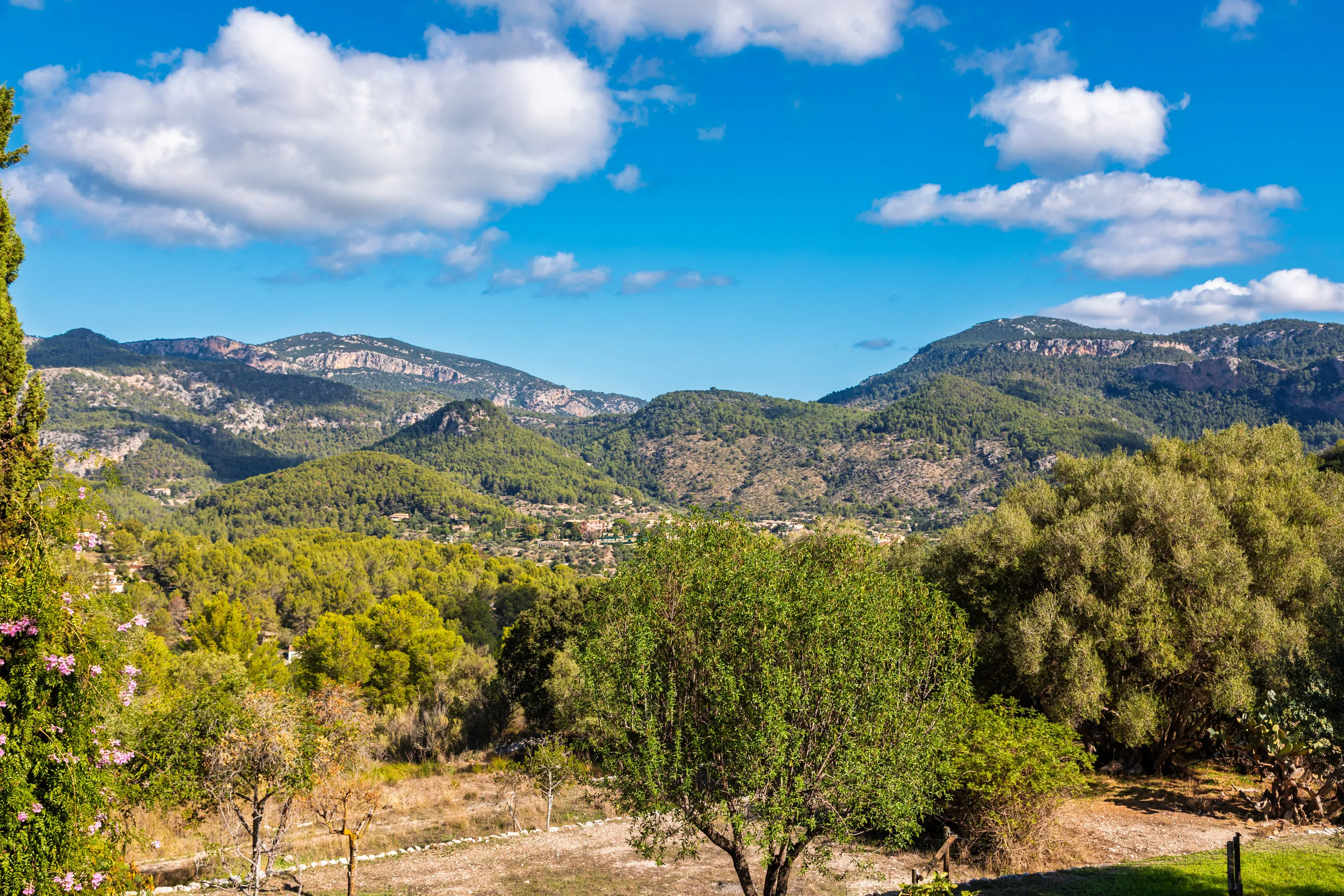 Planta baja en posesión del siglo XV-17