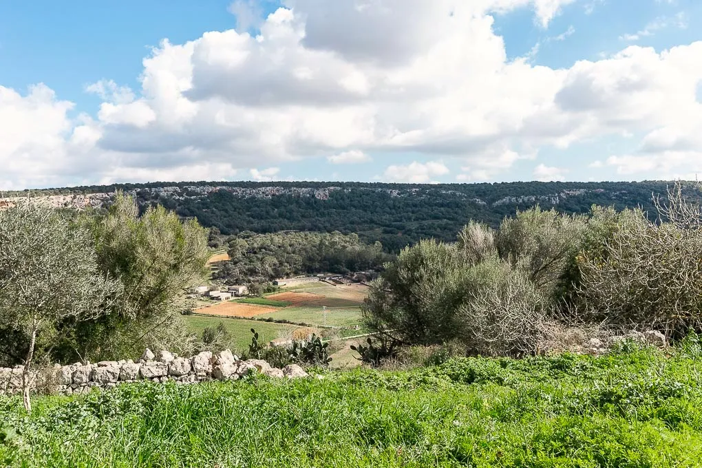 Уникальное загородное поместье для реставрации недалеко от Манакора-3