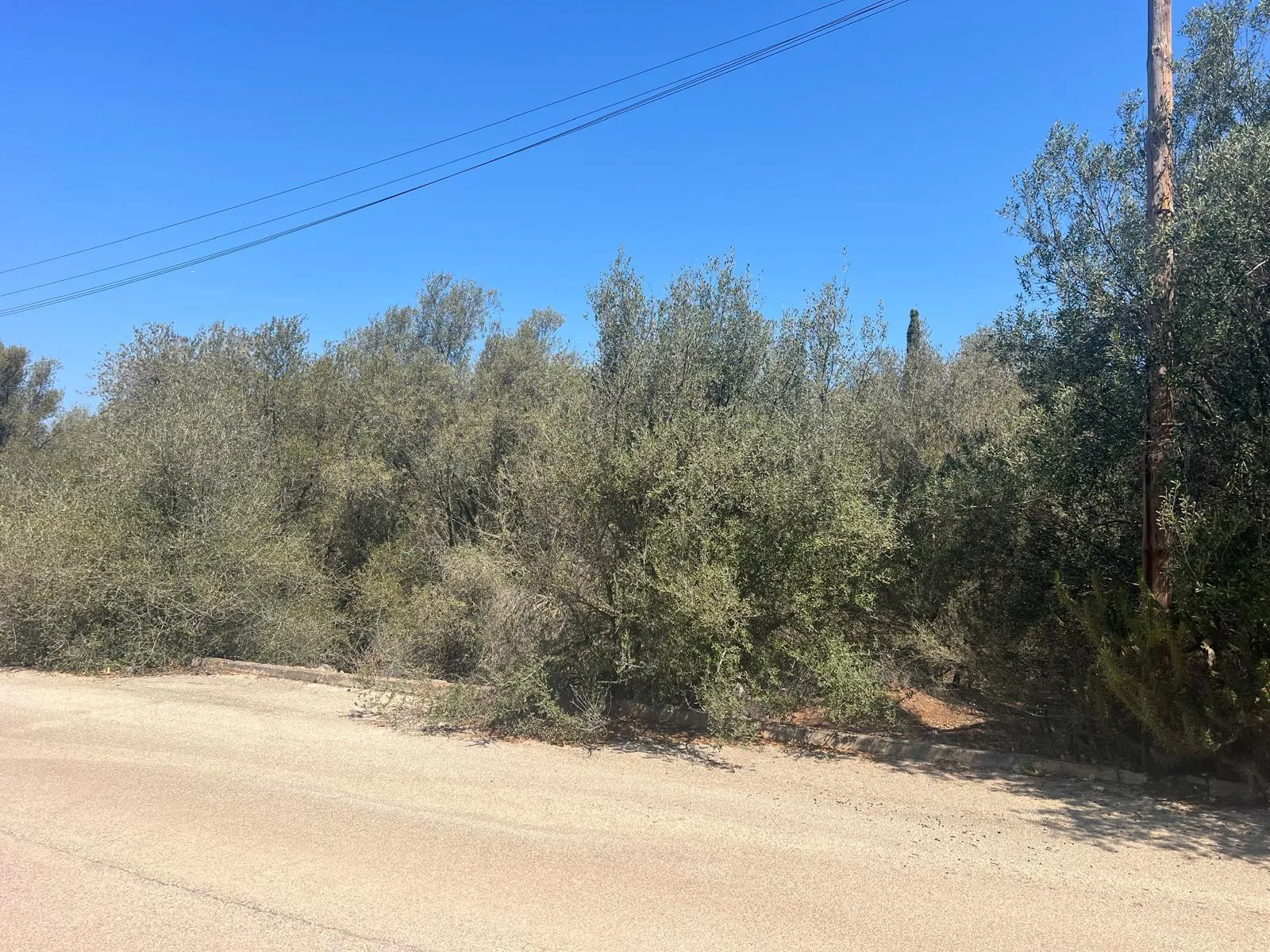 Grund i byområde i Sa Cabaneta-3