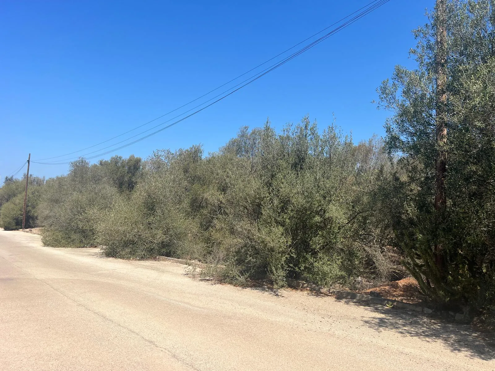 Terrain urbain à Sa Cabaneta-2