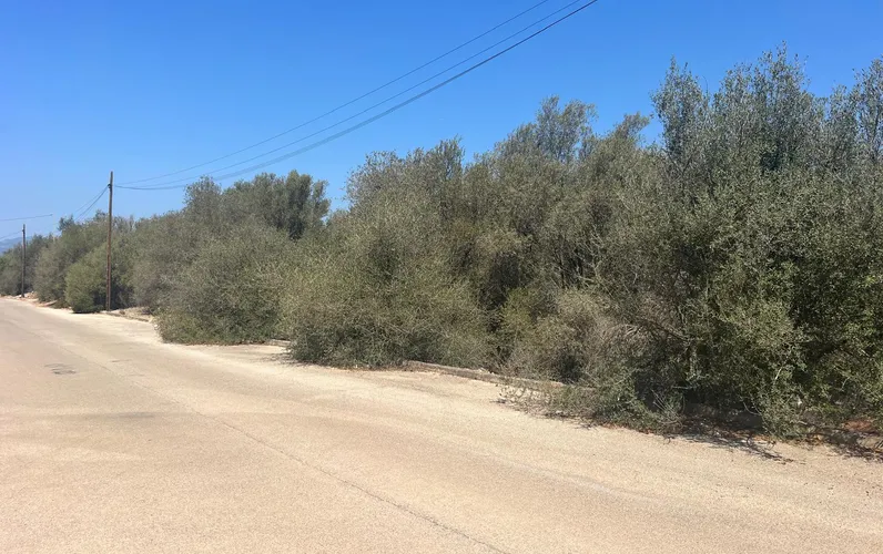 Städtisches Grundstück in Sa Cabaneta