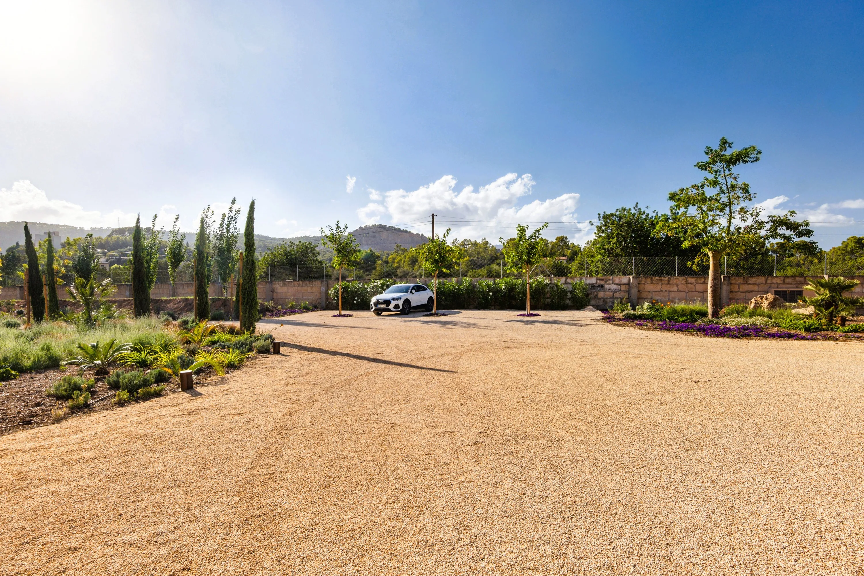 An Oasis of Tranquility near Palma-19