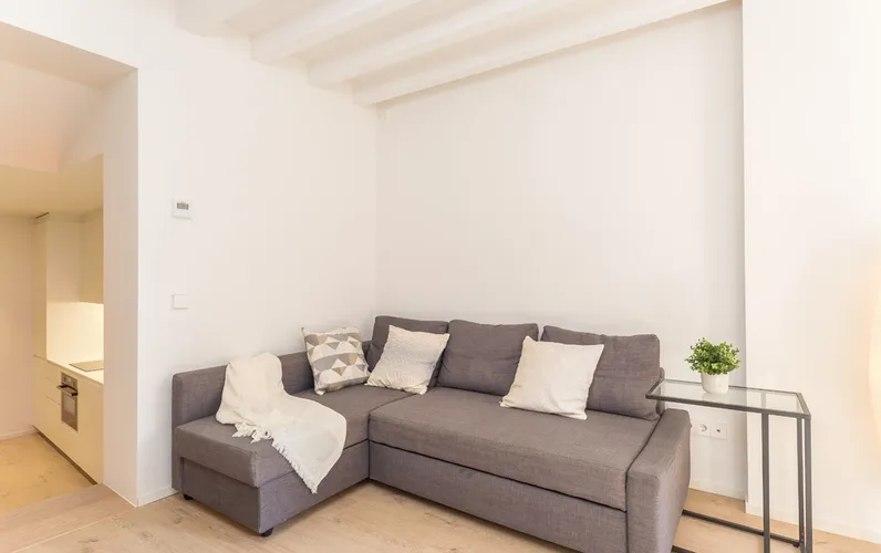 Beautiful apartment with elevator in a renovated Old Town building