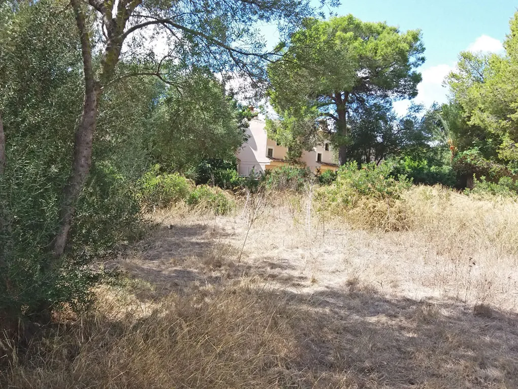 Strandnahes Baugrundstück mit Teil-Meerblick-1