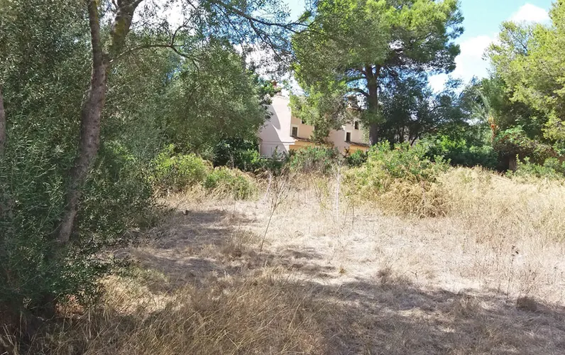 Terreno con vista parziale sul mare a pochi passi dalla spiaggia
