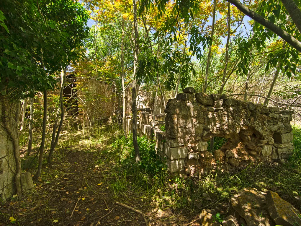 Historische Finca zum restaurieren-11