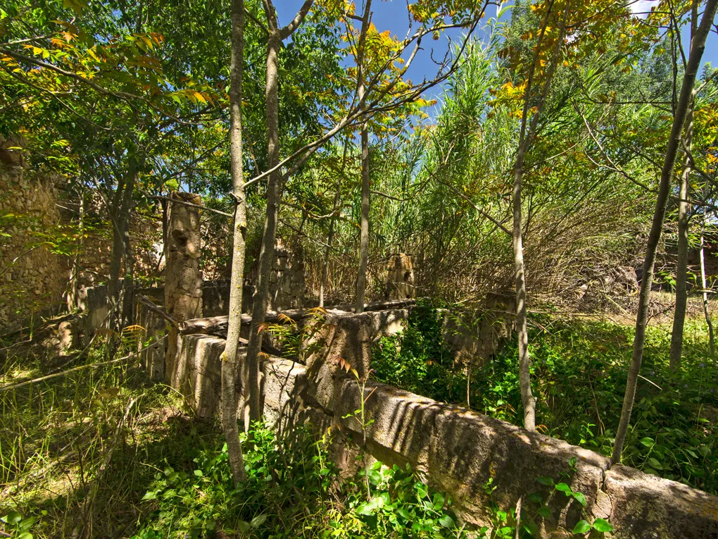 Historische Finca zum restaurieren-6