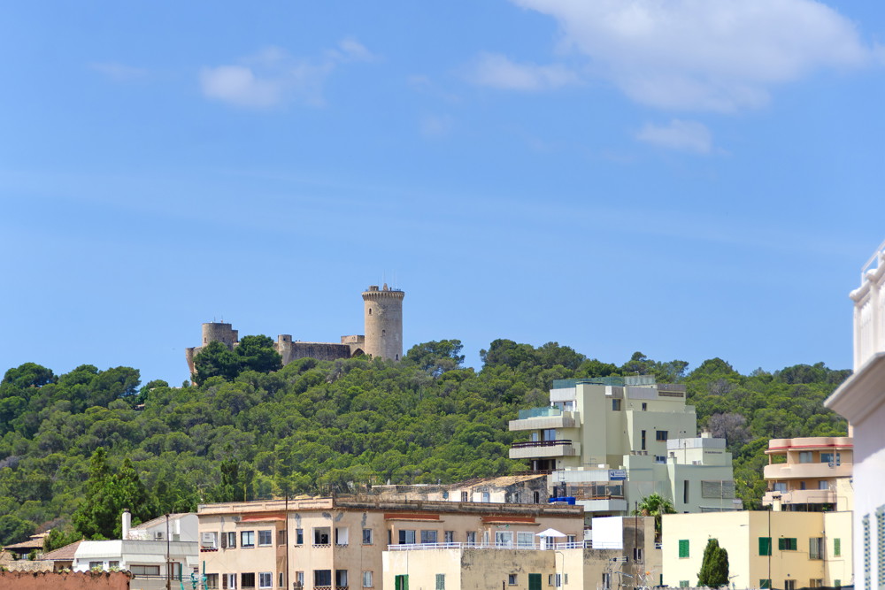 Yoga- og pilatesstudio i kvarteret Son Espanyolet-8