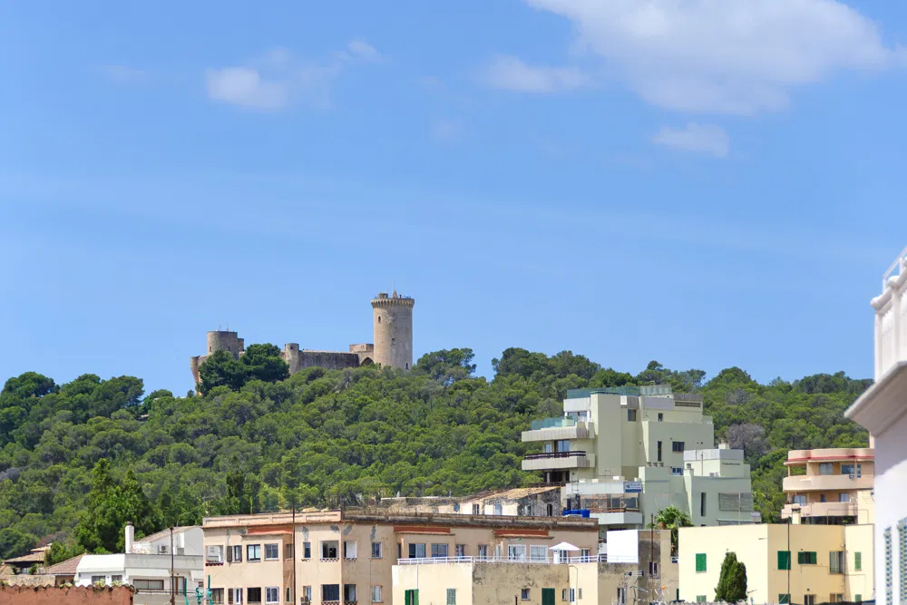 Yoga- og pilatesstudio i kvarteret Son Espanyolet-8